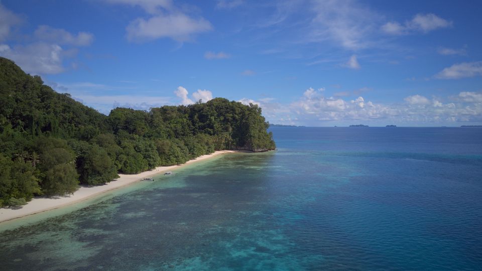 Coastline, Palau