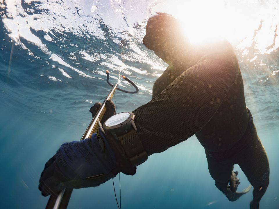Spearfisher at the surface, Guam